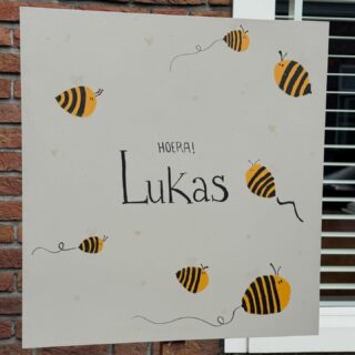 Visiterondje 👶🏽👩🏼‍🍼
💙 L. Dag 7: in de kraamweek zien wij een kraamvrouw gemiddeld 3 keer in 10 dagen. We sluiten de visites af op dag 7-10. Daarna wordt de zorg van de baby overgenomen door het consultatiebureau en de huisarts. Wij blijven verantwoordelijk voor de zorg voor mama. 
💙 M. Dag 3: de eerste visite vindt meestal plaats op dag 2-3, afhankelijk hoe de bevalling is verlopen. We bespreken o.a. jullie ervaring en proberen een visite te plannen bij de verloskundige die bij de bevalling aanwezig was. 
🩷 A. Dag 7: bijna alle baby’s gaan een vleugje geel zien, maar sommige baby’s te veel. Dit komt door het stofje bilirubine. Om er zeker van te zijn of dit stofje in een normale hoeveelheid aanwezig is in het bloed, wordt er een beetje bloed afgenomen uit het hieltje van de baby. 
🩷 J. Dag 5: wij begeleiden ook kraamvrouwen op de NICU (Neonatale Intensive Care Unit) en medium care afdeling in het MMC. Omdat deze mama’s hun kraamweek niet thuis kunnen doormaken, begeleiden wij hun zolang hun baby is opgenomen. 
💙 S. Dag 3: op route 116 in het MMC bevindt zich de Obstetric High Care (OHC) afdeling. Hier vindt intensievere monitoring plaats dan op een verlosafdeling. Deze baby was geboren na de keizersnede en zal vandaag lekker naar huis gaan met papa en mama.